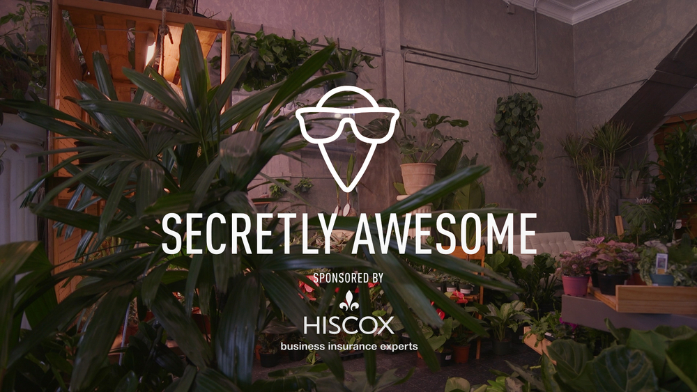 Chicago plant shop growing community 1 seed at a time