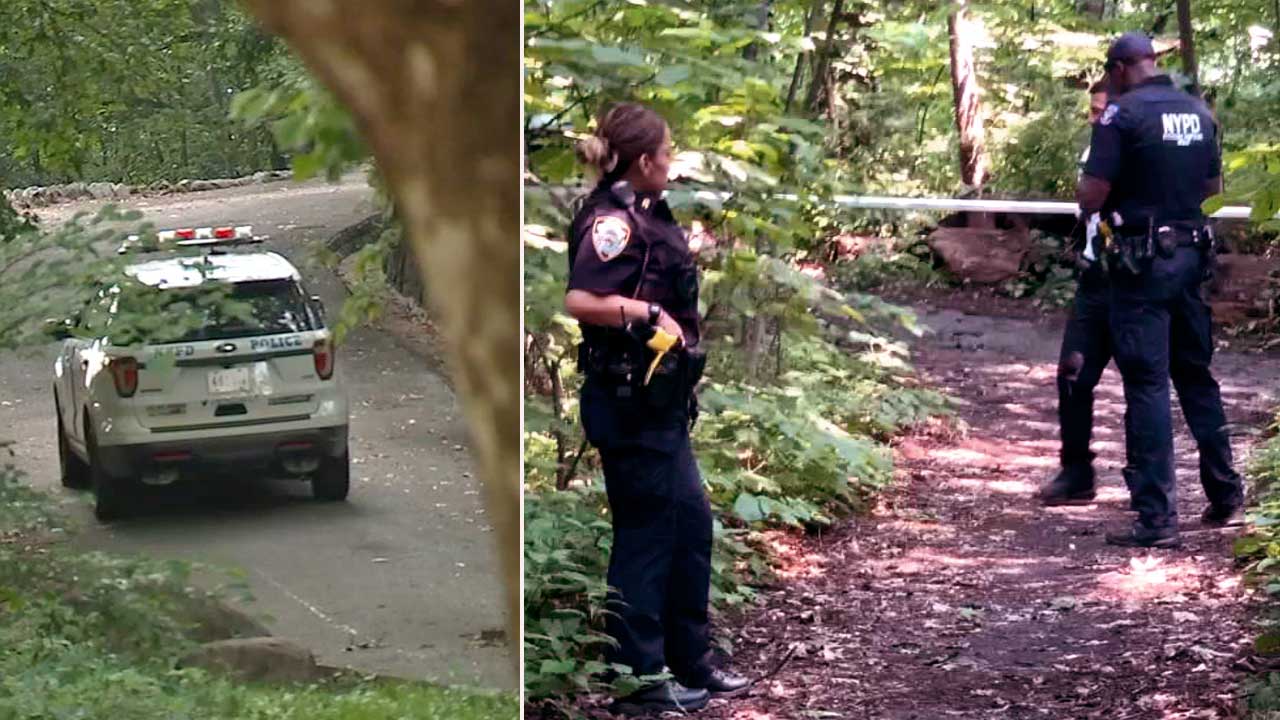 Police believe same assault suspect targeted 3 women at NYC park