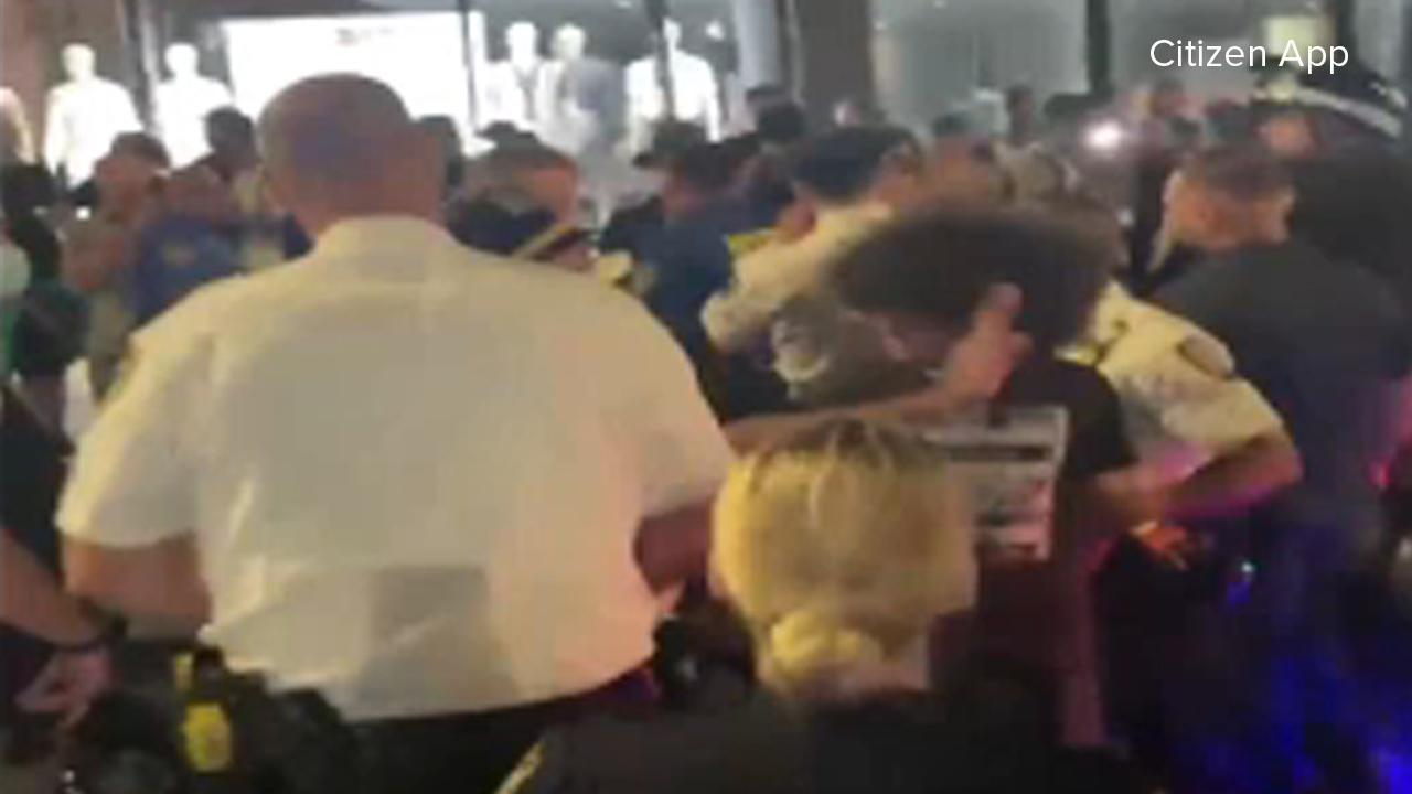 Video shows the arrest of a driver in a crowd of protesters in Greenwich Village