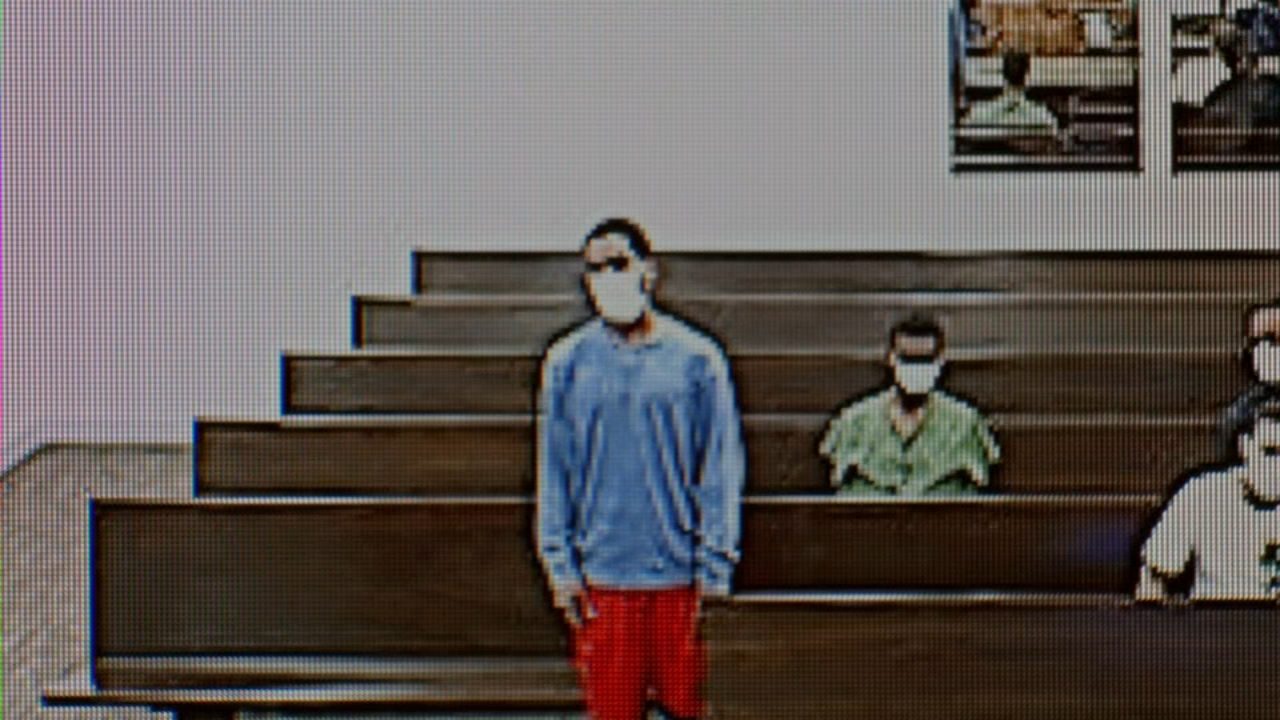 Man accused of stabbing woman 40 times, killing her, granted bail
