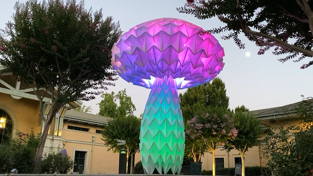 Bay Area artists create large-scale artwork