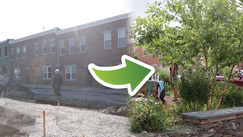 Park In A Truck Converts Vacant Lots In Philadelphia And Turns Them Into Beautiful Parks Abc7 Chicago