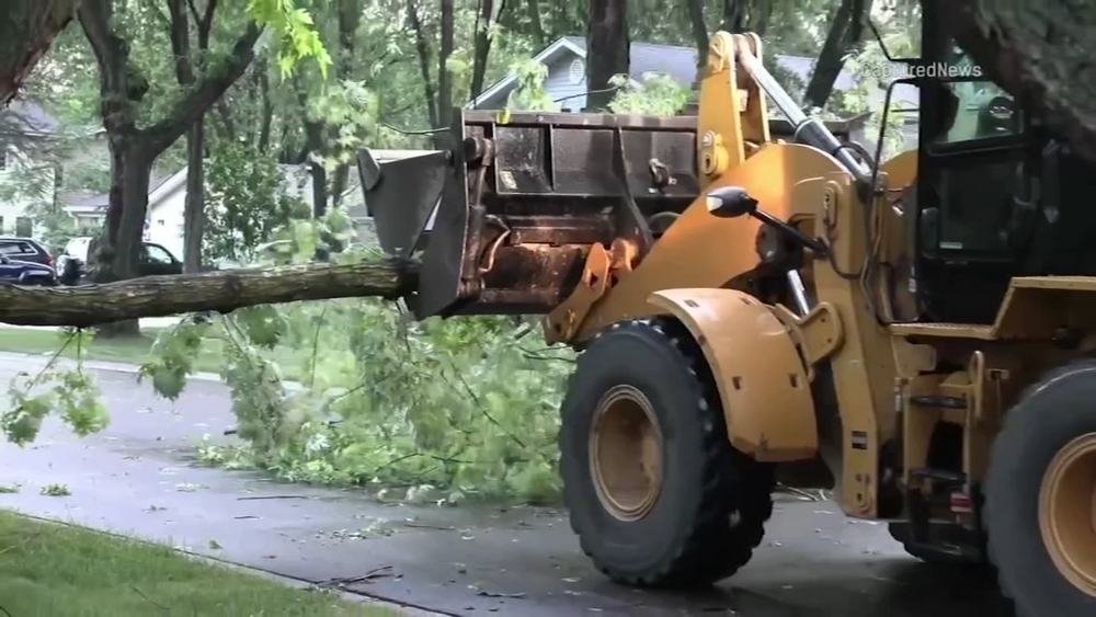 Chicago severe weather downs trees, knocks out power for some