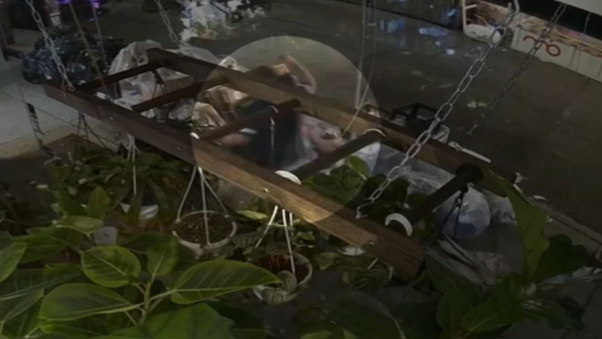 Asian woman randomly punched outside NYC flower shop