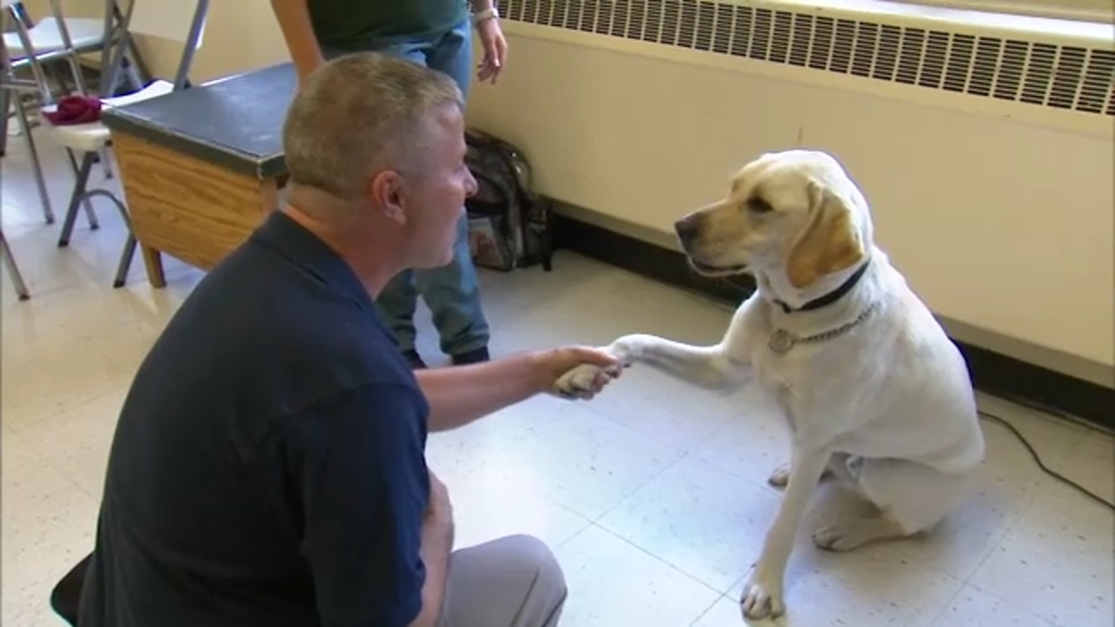 Inmates And Officers Work Together In Puppies Behind Bars Program To Help At Risk Law Enforcement Abc7 New York