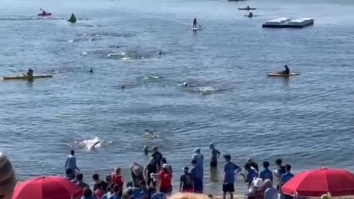 Larchmont News Abc7 New York