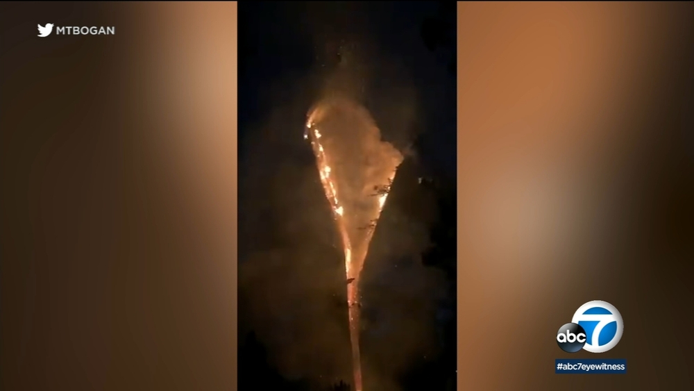 Video: Tree splits apart after lightning strike near Big Bear