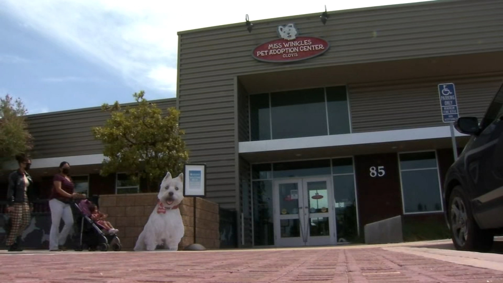 Miss Winkles Pet Adoption Center Reopens After 16 Months ABC30 Fresno Miss winkles pet adoption center reopens after 16 months abc30 fresno