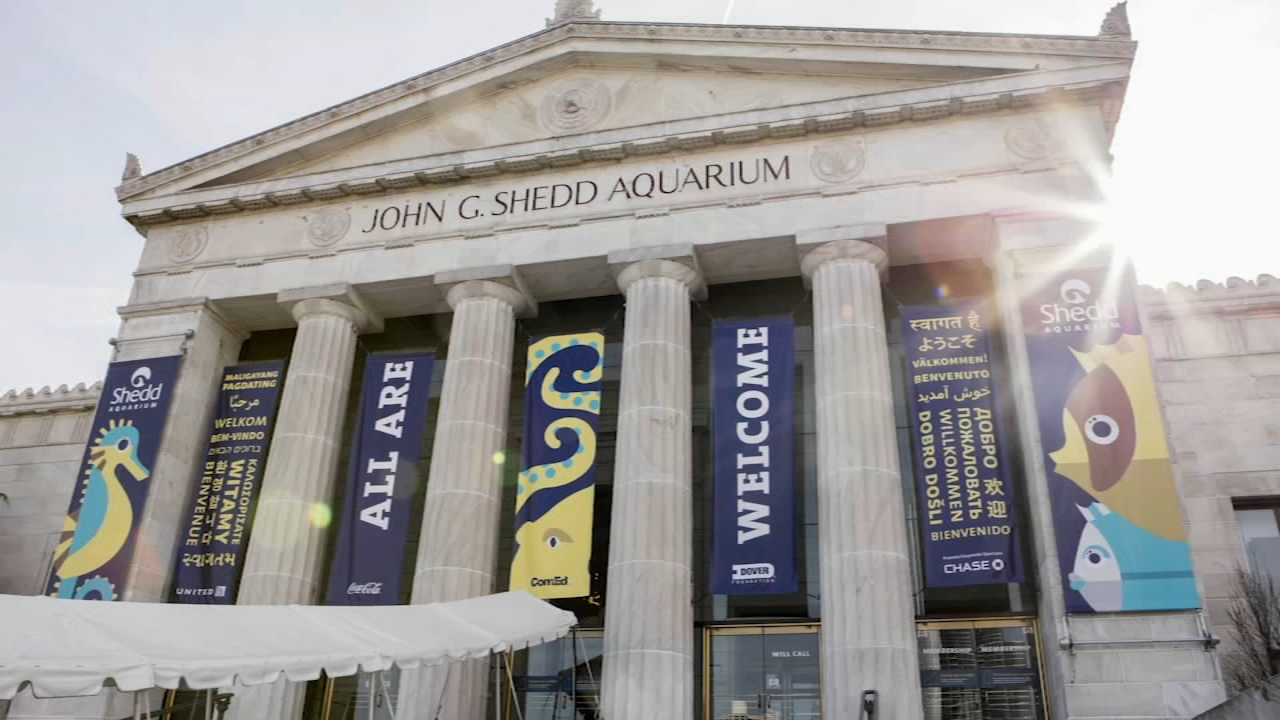 Shedd Aquarium free to IL residents each Thursday in August