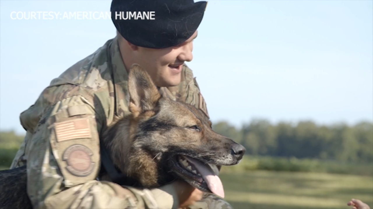 After 8-month wait, Air Force sergeant reunites with K-9 partner