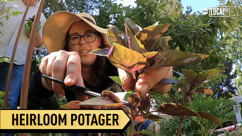 Home gardening blooms, grows community