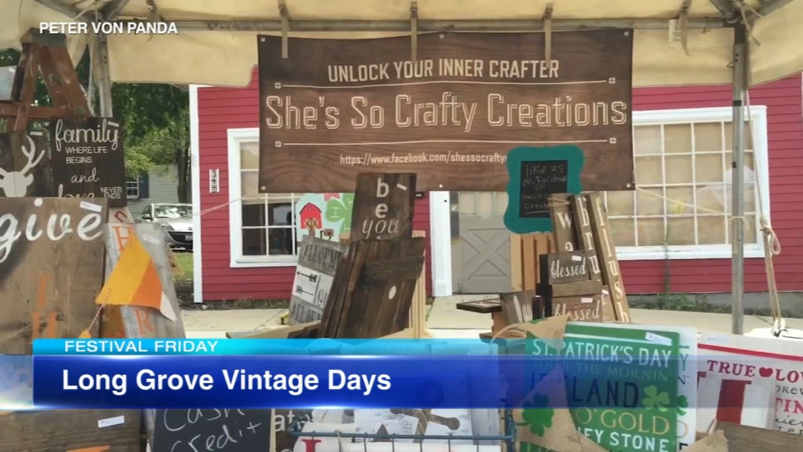 Festival Friday with Roz Varon ABC7 Chicago