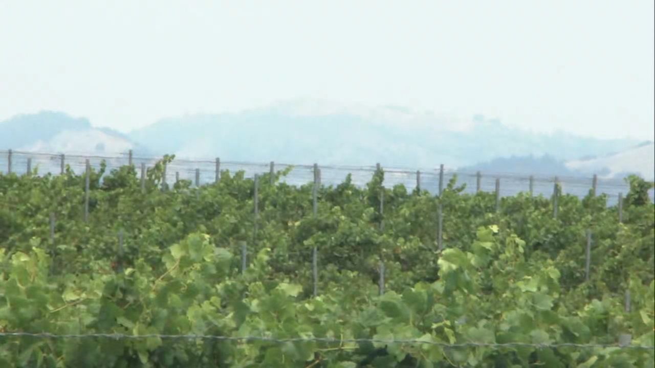 Wildfire smoke grips Bay Area, changing weekend plans for many