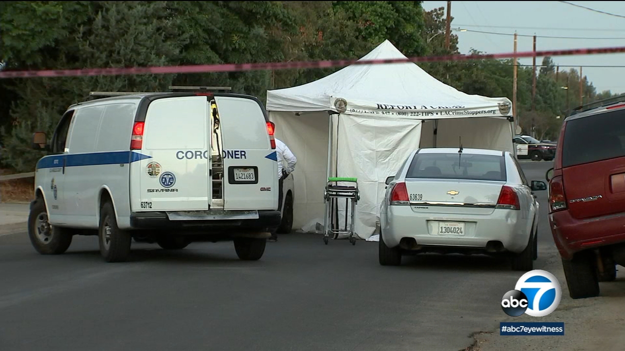 Driver shot in back of head in North Hills; search for killer underway