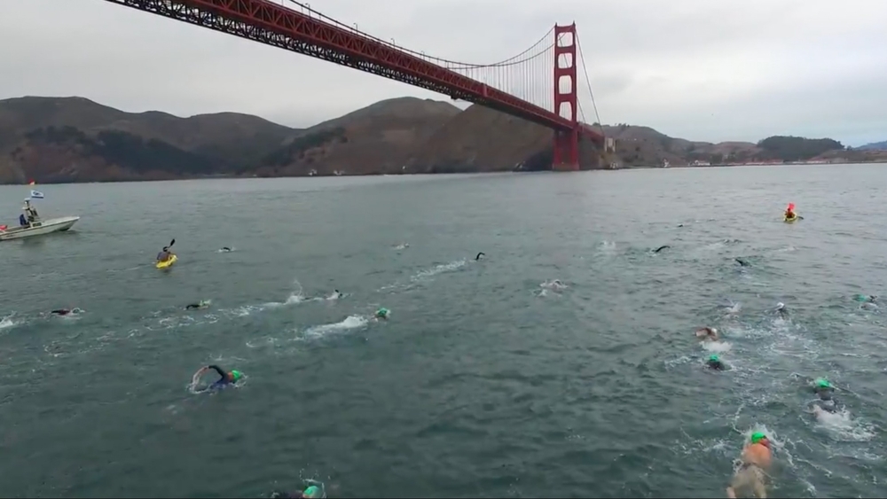 Swim surrounded by SF landmarks at this open water workout