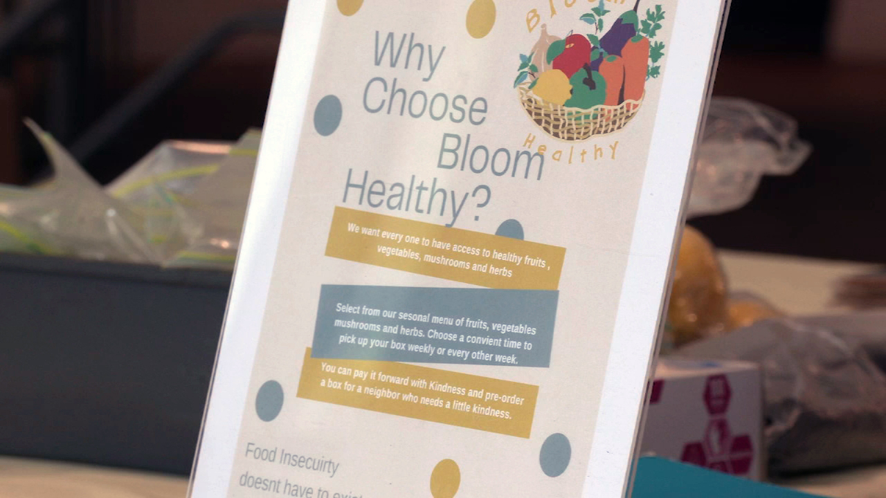 Bloom Healthy fighting food insecurity one box at a time