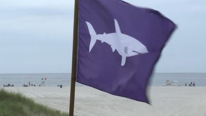Nassau County launches shark warning flag system after record number of