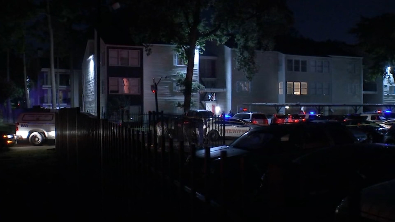 Man fatally shoots sister's ex during fight, deputies say