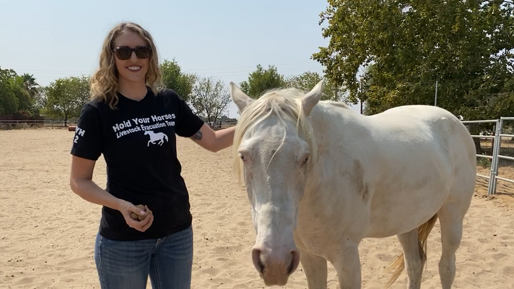 Livestock rescue from California wildfires