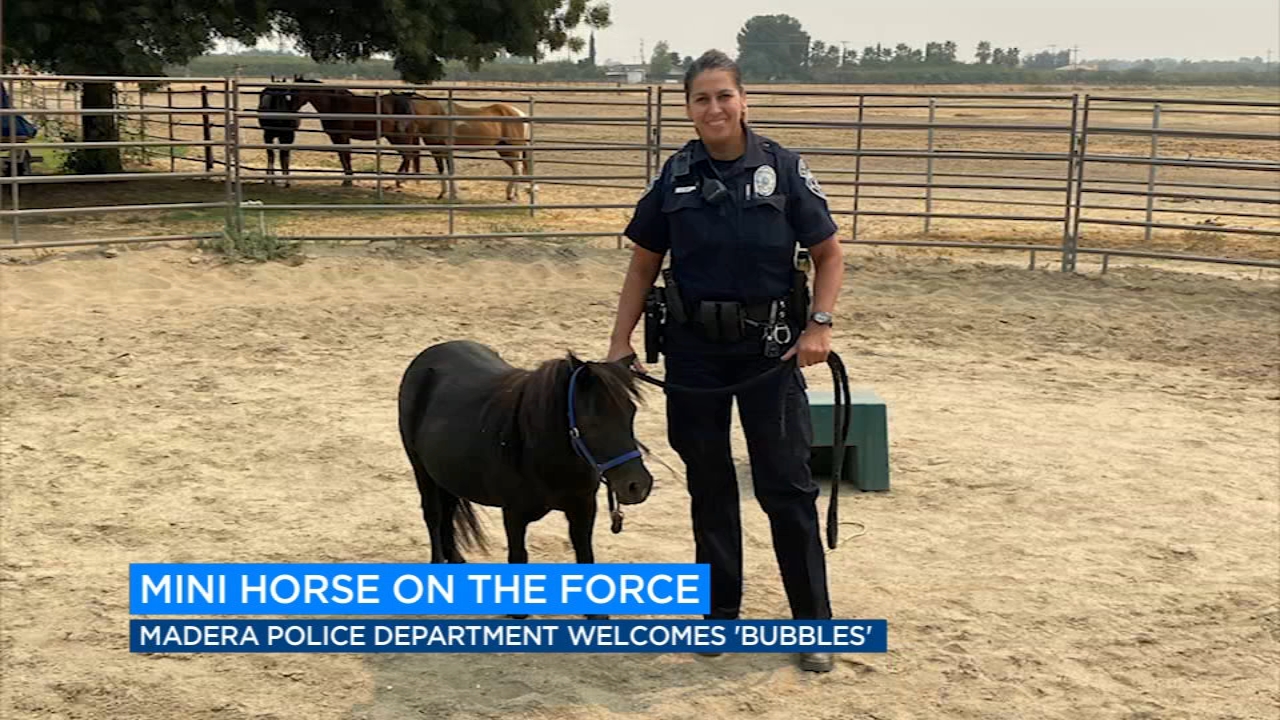 Madera News Abc30 Fresno