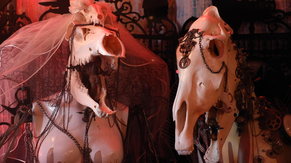 Philadelphia artist transforms skulls into works of art