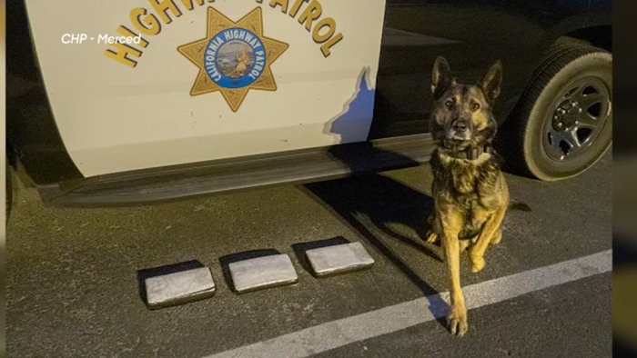 Drug Bust Abc30 Fresno