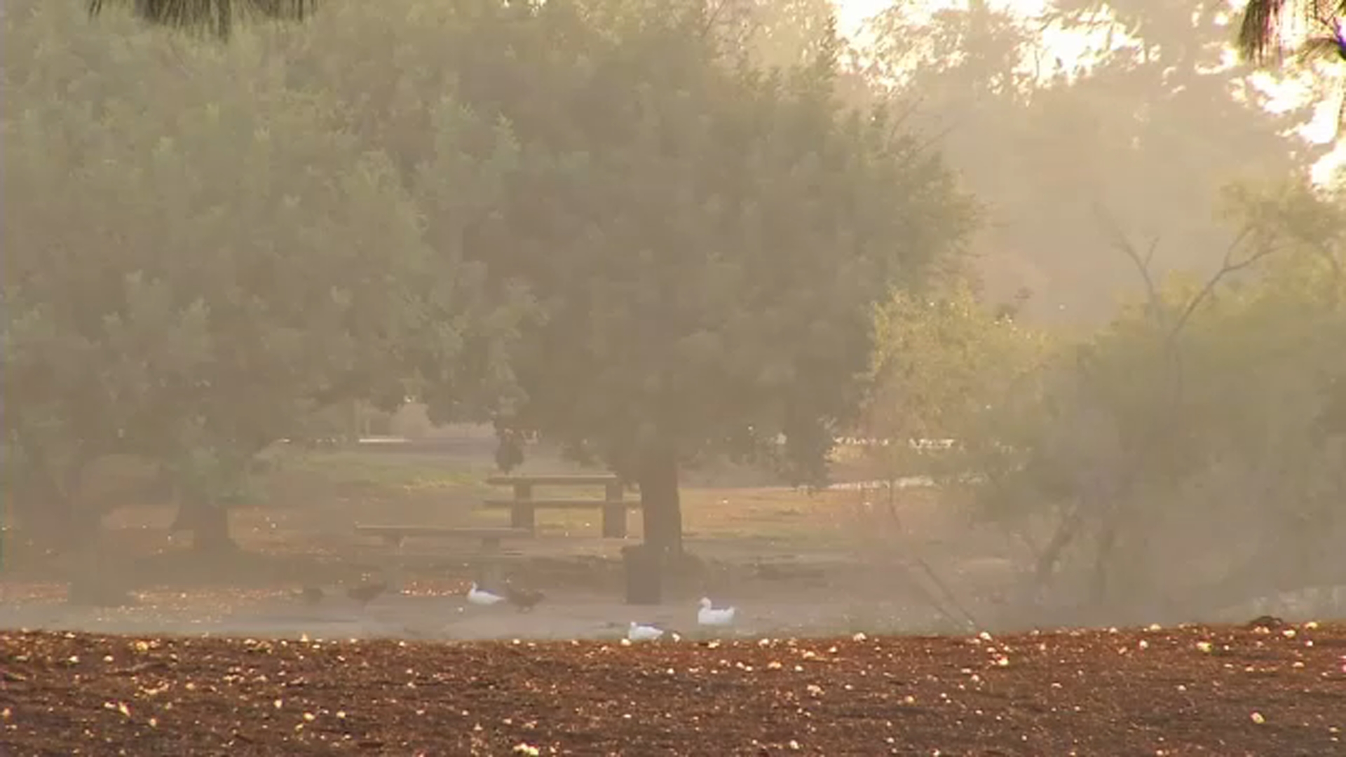 Valley residents cope with smoky air due to California wildfires