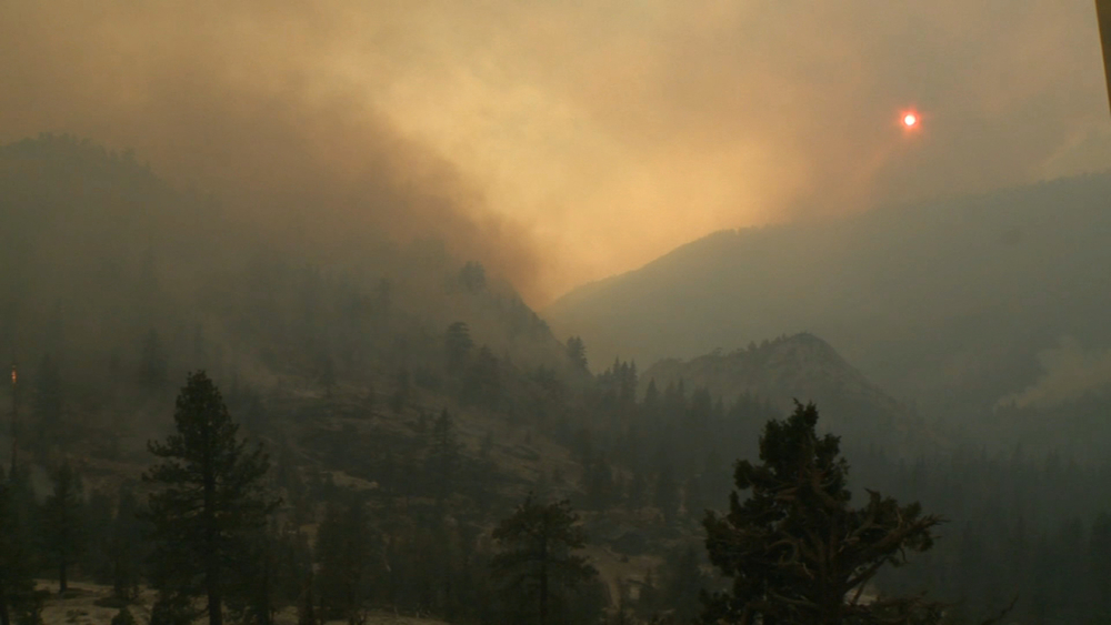 All CA national forests to close temporarily amid fire danger