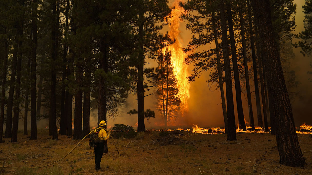 Caldor Fire: Crews show frontline battle against giant flames