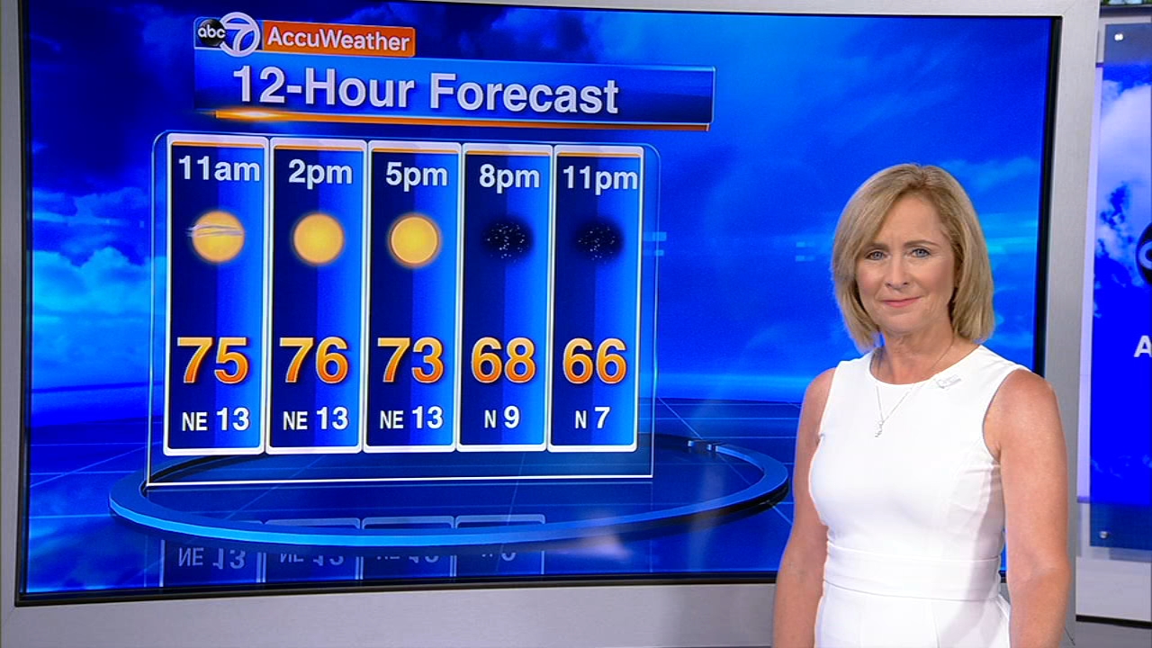 North Carolina Woman Gives Birth After 4 Miscarriages As Study Shows Pregnancy Struggle Many Black Women Face Abc7 Chicago