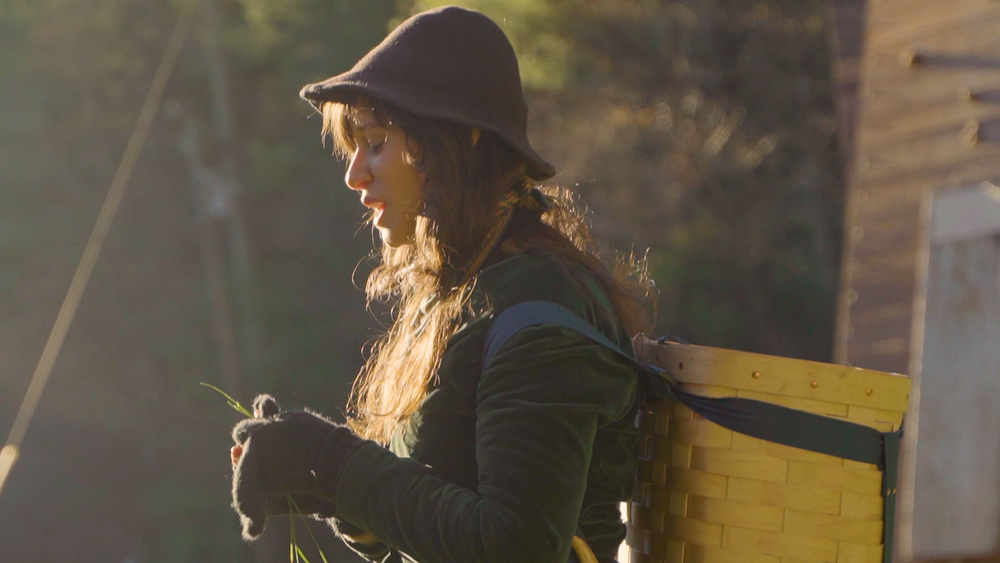Foraging for your own food in Asheville, North Carolina