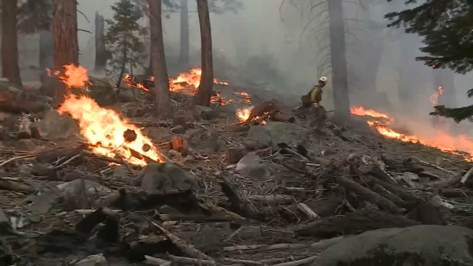 Fire Scientists Say Fighting California Wildfires By Setting More Fires May Be The Only Way Forward 6abc Philadelphia