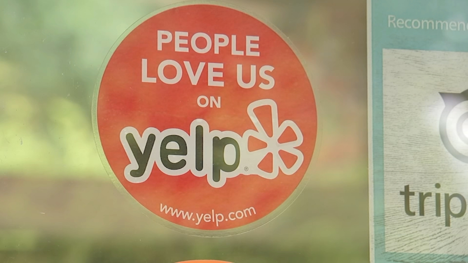 'Cut them a bit of a break,' restaurant owners say on negative reviews