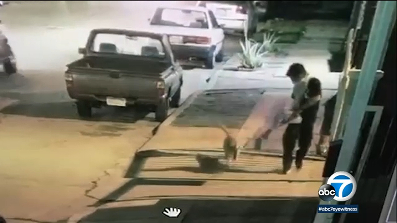 South LA man allegedly set corgi on fire