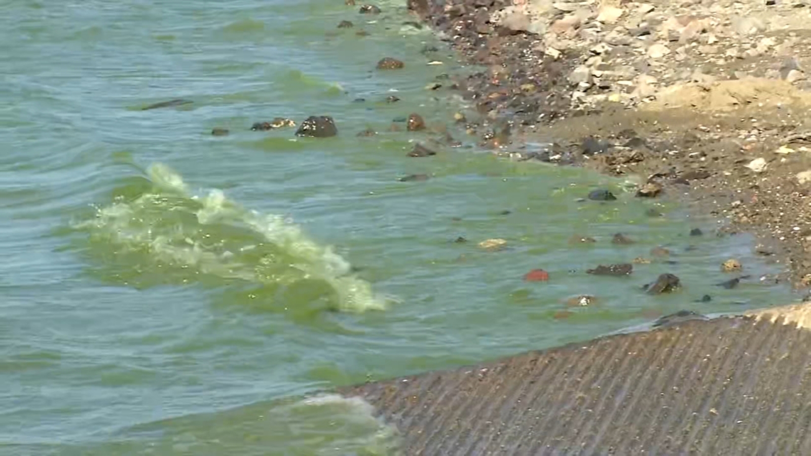 Harmful algae bloom found at San Luis Reservoir in Merced Co. ABC30