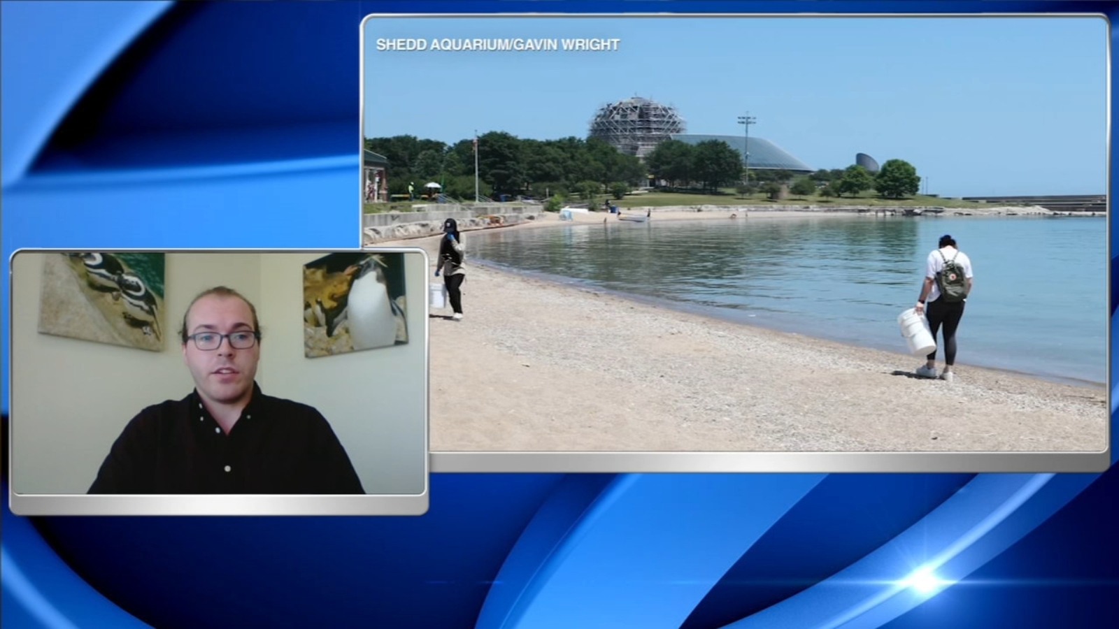Shedd Aquarium cleaning up Chicago beaches as part of 'Action Days