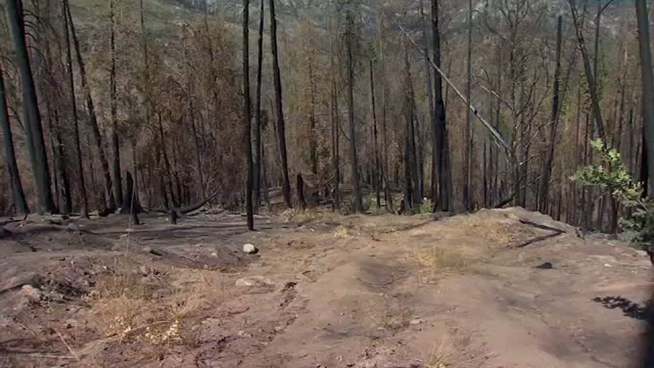 $4M grant to help crews prevent wildfires in Fresno County