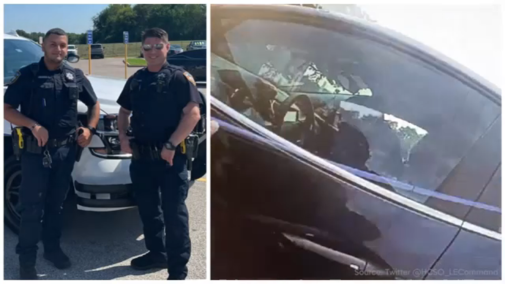 Deputies hailed heroes for quick rescue of 82-year-old shoved into car