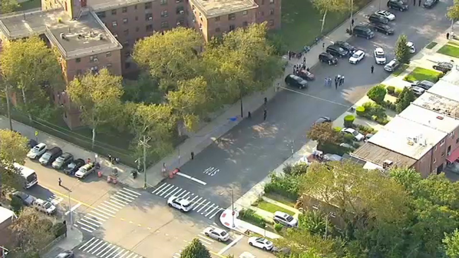 2 women shot outside Boulevard NYCHA complex in East New York, Brooklyn ...