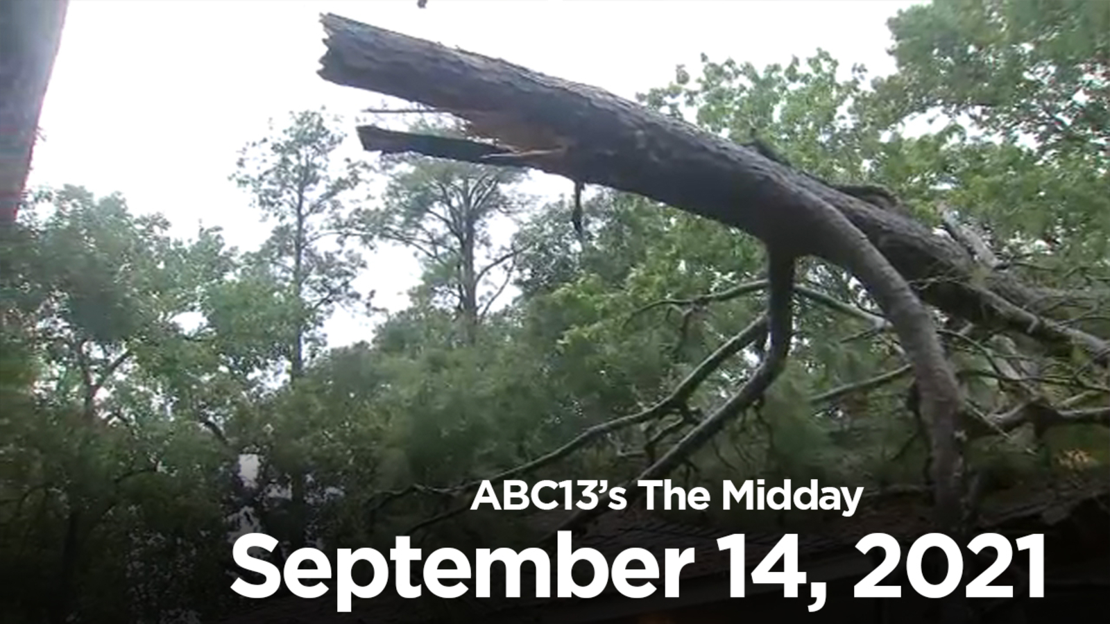 The Midday Texas Sees Limited Damage From Hurricane Nicholas ABC13 