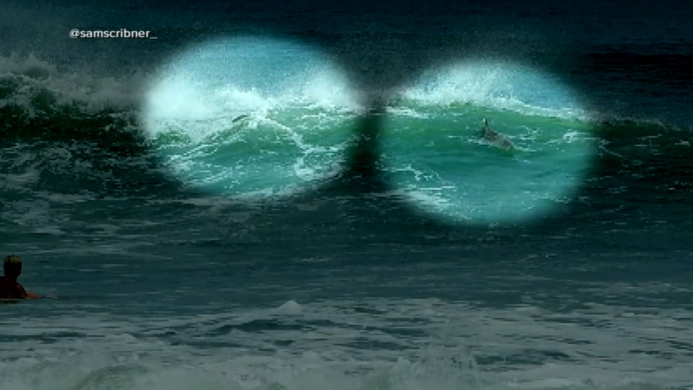 Young surfer bitten by shark in Florida surf