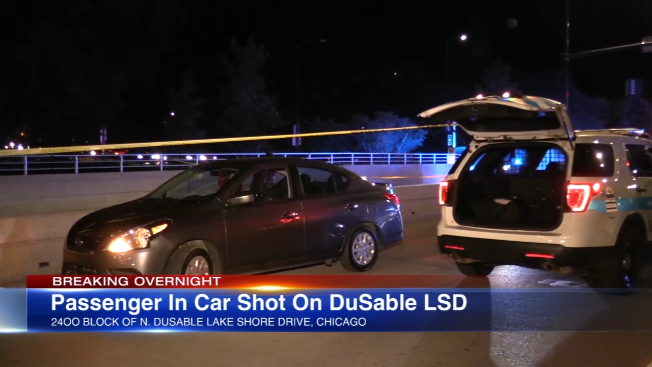 1 shot on DuSable Lake Shore Drive near Lincoln Park Zoo