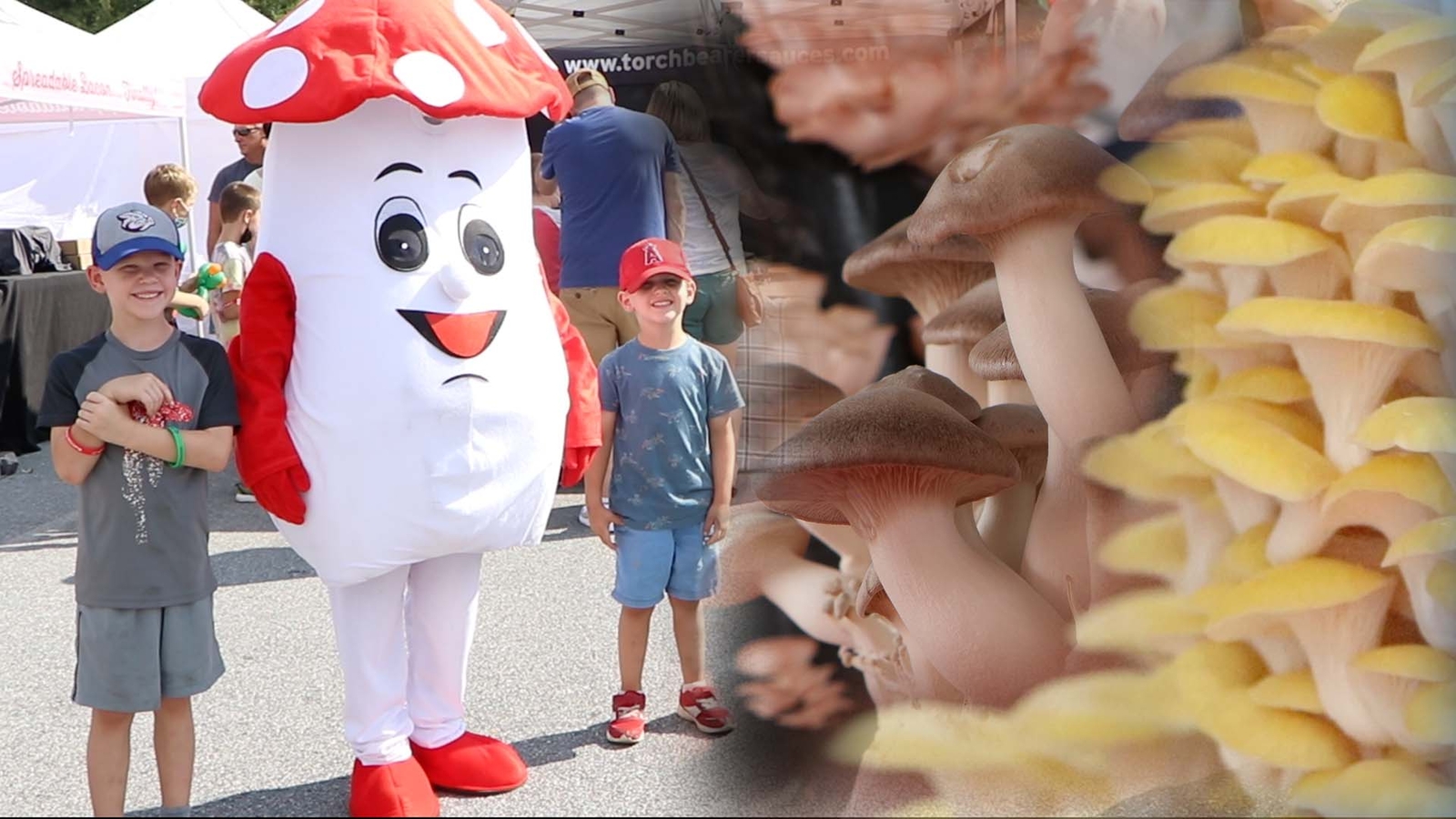 Square's Mushroom Festival returns for 36th year ABC7 New York