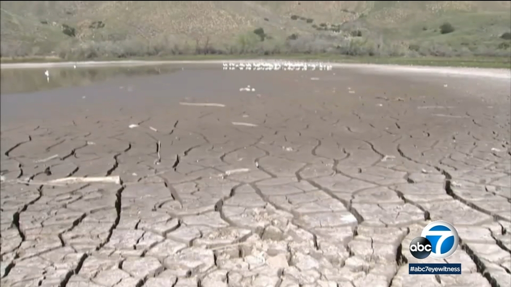 California struggles to conserve water amid historic drought