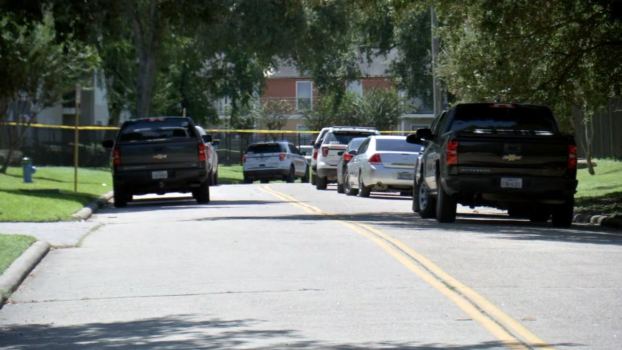 Gunman in black SUV shoots and kills 2 men in N. Harris Co.