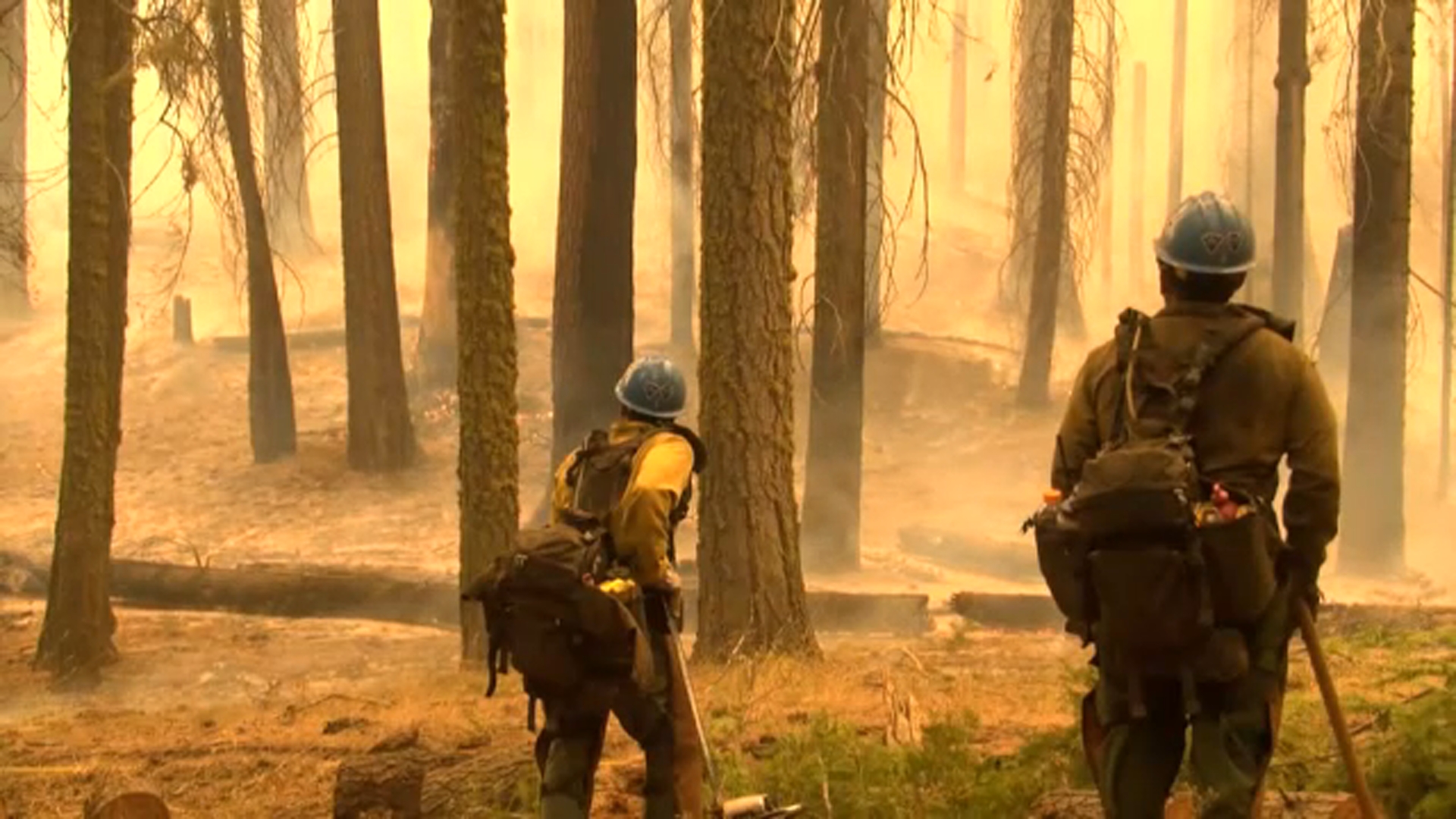 KNP Complex Fire: More evacuation warnings issued in Tulare Co.