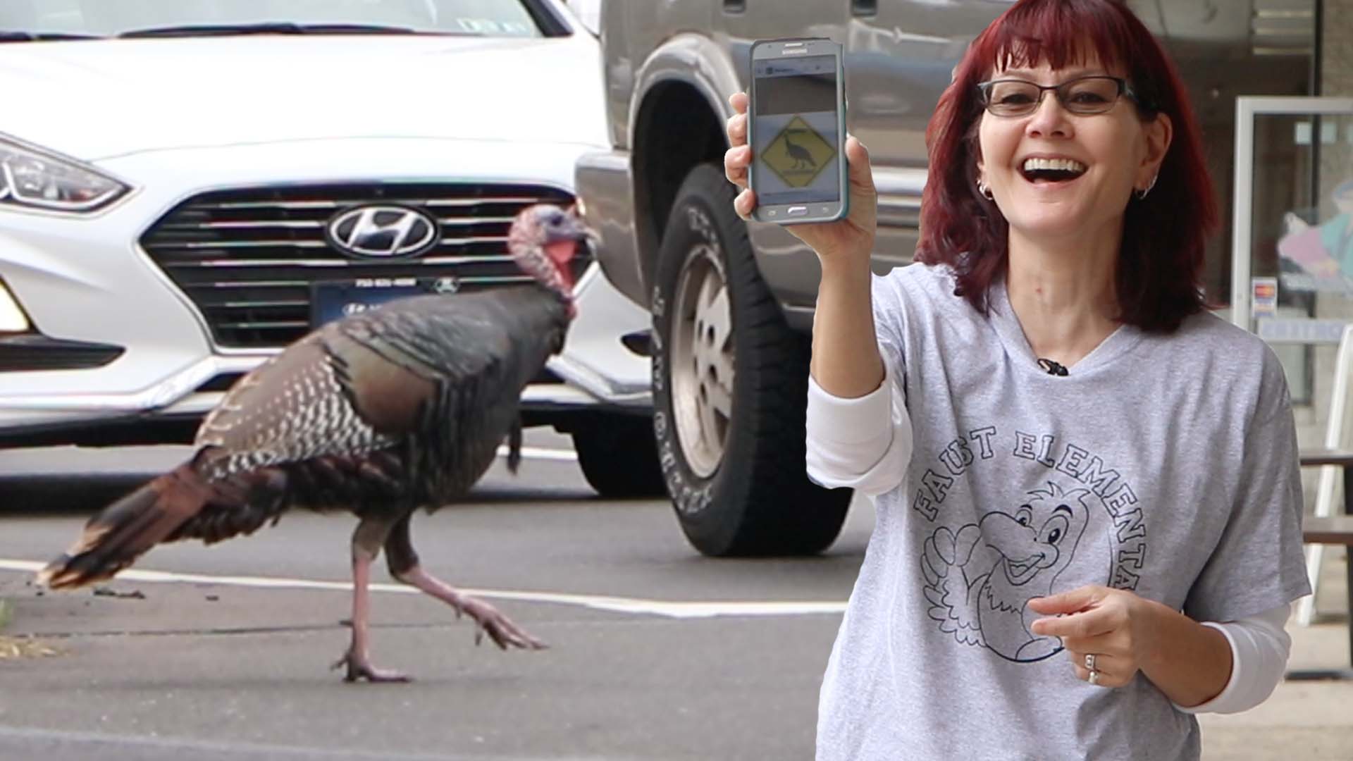 Wild turkey captures hearts of Bensalem community