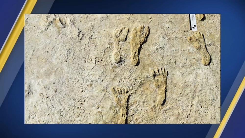 Oldest human footprints in North America found in New Mexico