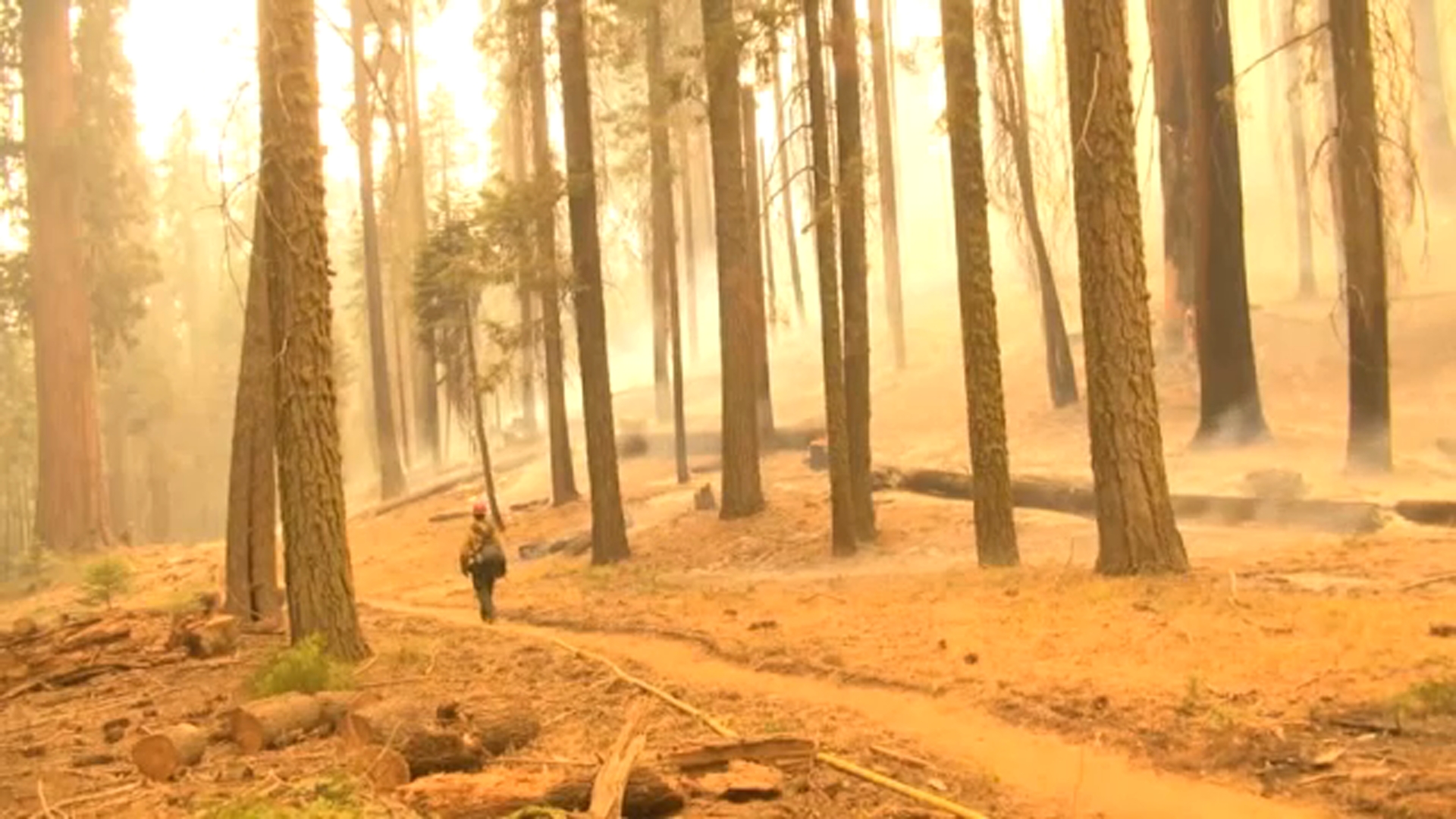 More mandatory evacuation orders issued as Windy Fire grows