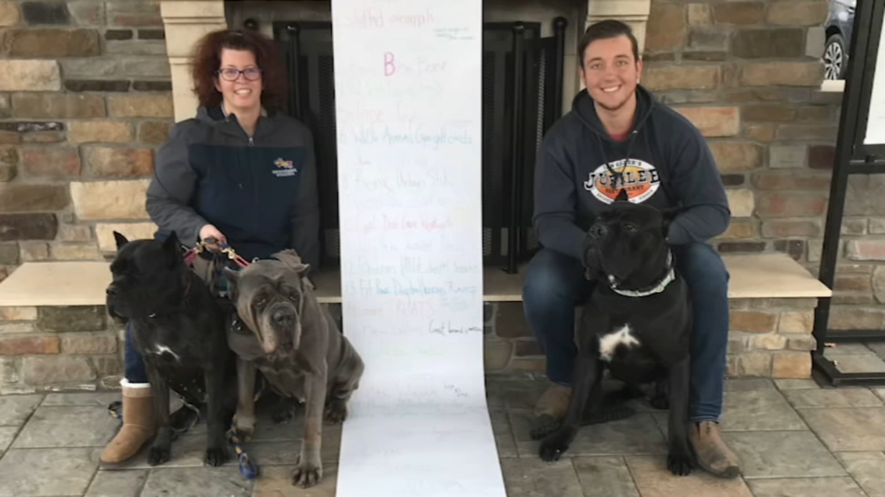 Mother uses therapy dogs to help college students
